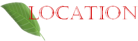 Logo WEB location